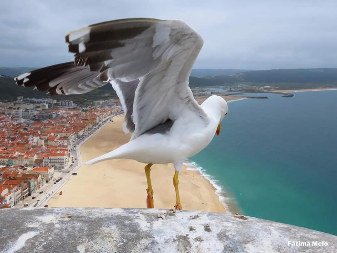 Lucas House Villa Nazaré Dış mekan fotoğraf